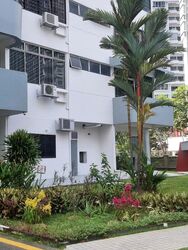 Rajah Tower (D12), Apartment #520667051